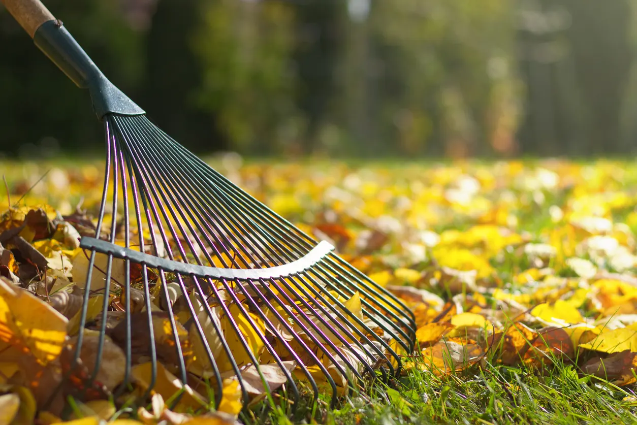 Read more about the article These 5 Effective Fall Landscaping Services Will Make Your Property Look Great