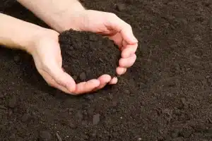 Read more about the article The Importance of Nutrient Rich Soil