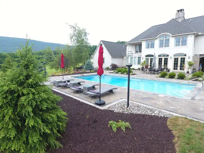 Things to Consider When Landscaping Your Pool Area 1