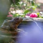 3 Awesome Reasons Why Water Features Should Be Added to Your Property